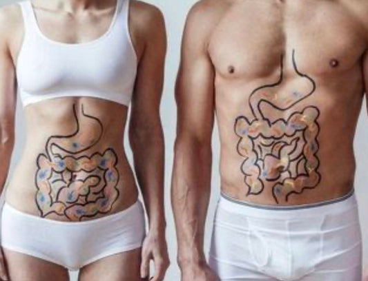 How Peptides can help with Gut Health